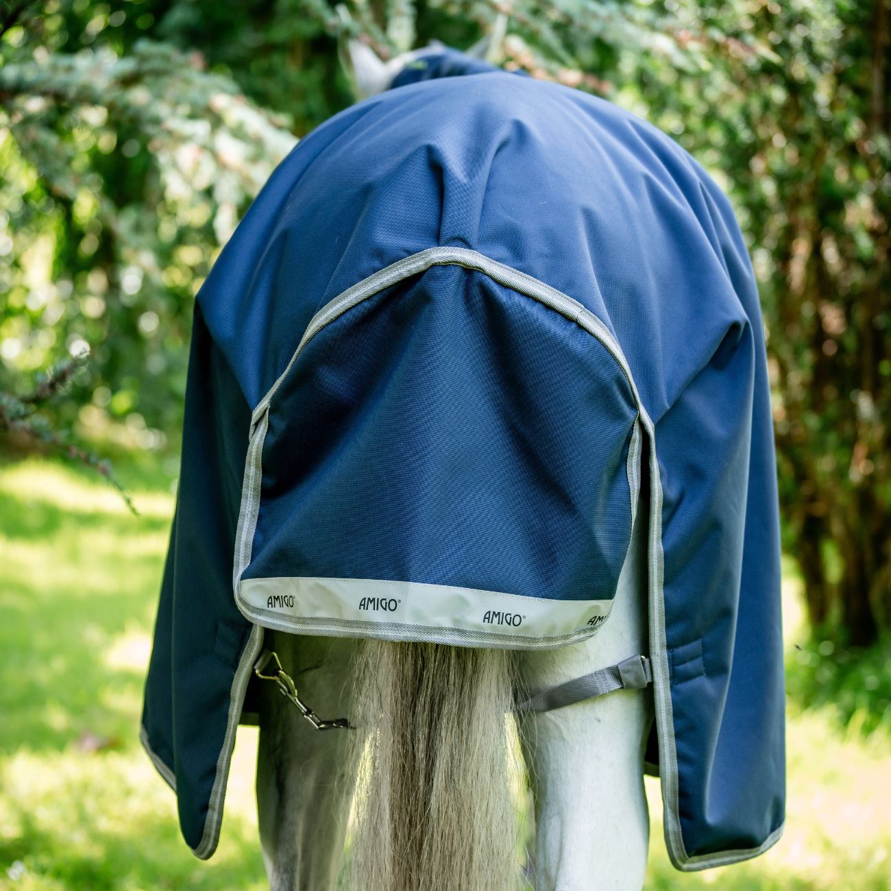 HORSEWARE Coperta Da Paddock Amigo Bravo12 100gr Horseware AARA16-BBE0 NAVY/ELECTRICBLUE 