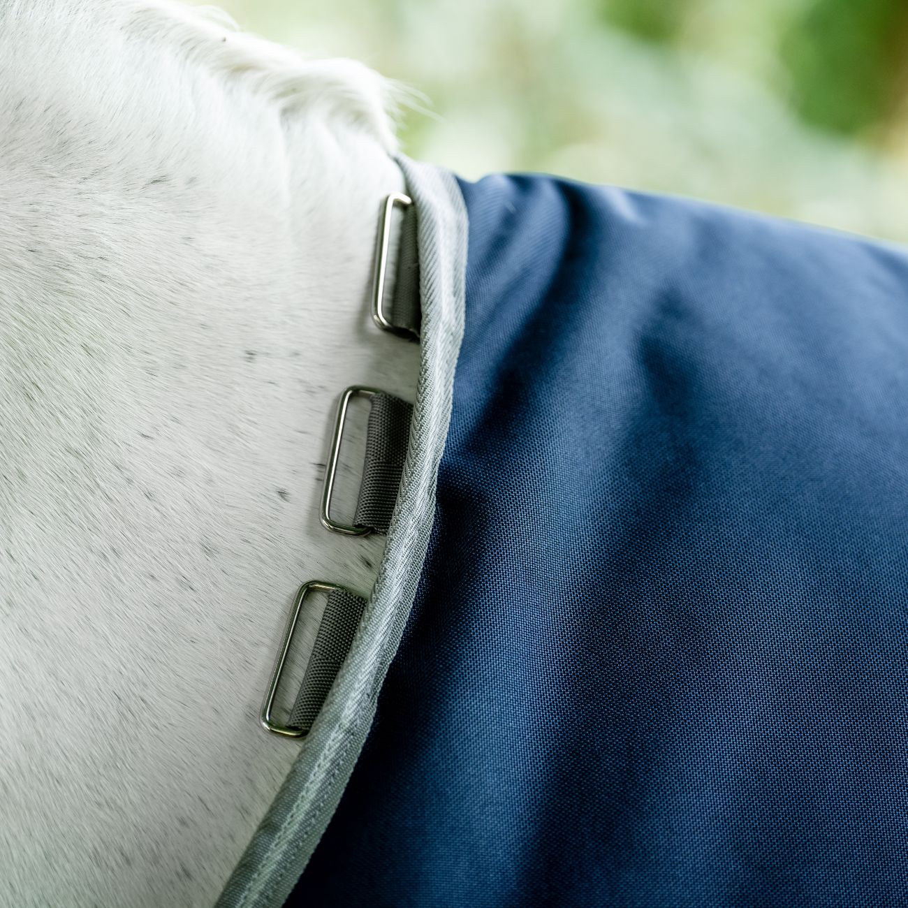 HORSEWARE Coperta Da Paddock Amigo Bravo12 100gr Horseware AARA16-BBE0 NAVY/ELECTRICBLUE 