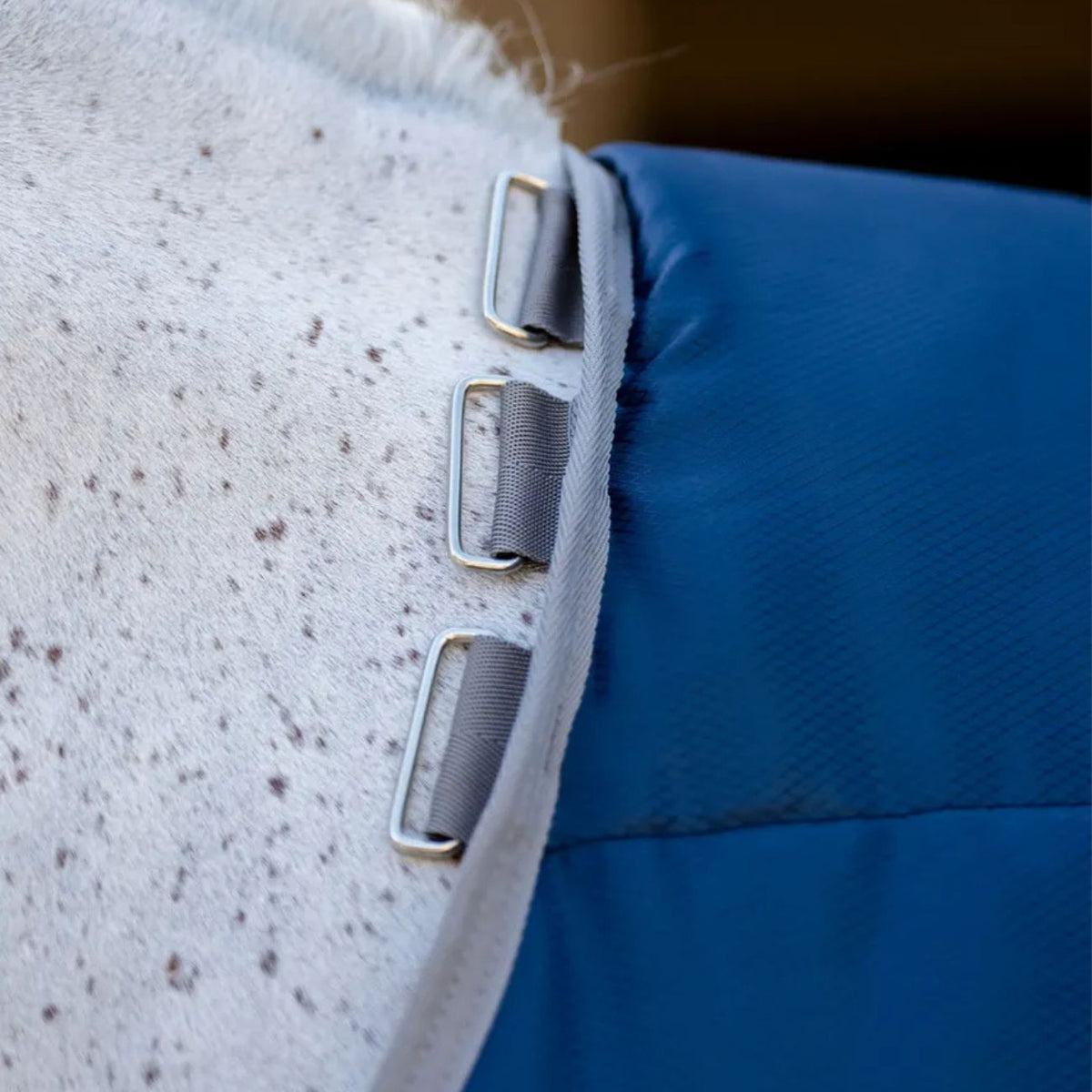 HORSEWARE Coperta Da Box Amigo® Ripstop Insulator Stable 200g Blu/Grigio ABRDM2 BJJ0 