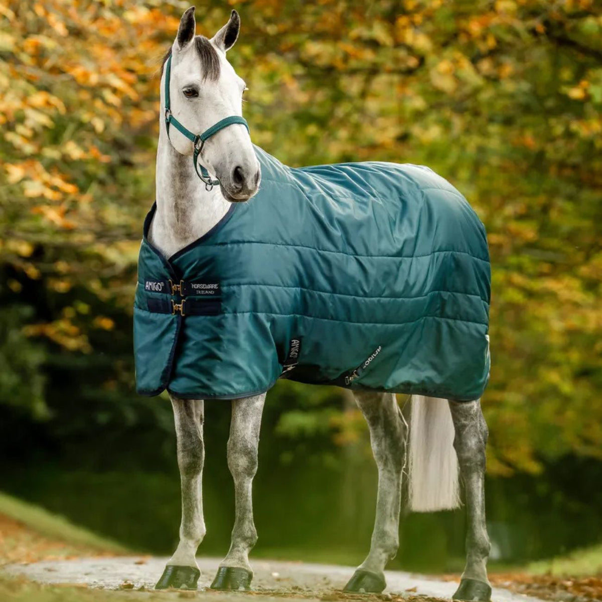 HORSEWARE Coperta Da Box Amigo® Ripstop Insulator Stable 200g Verde ABRDM2 GBI0VERDE 