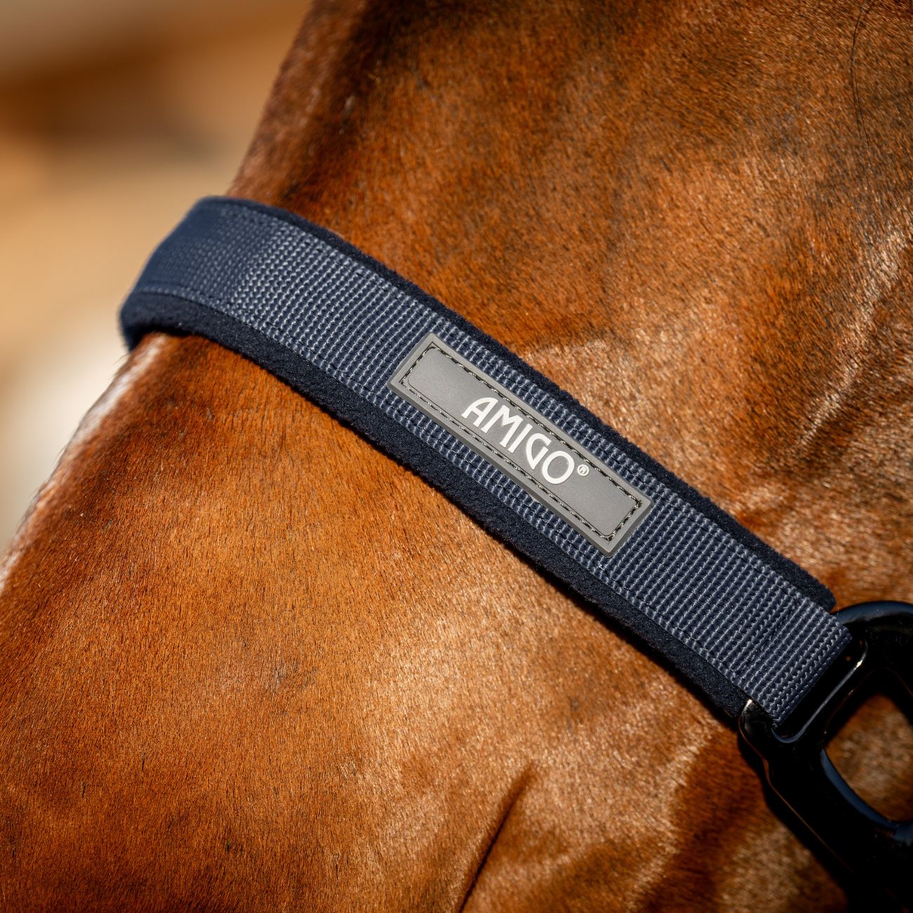 HORSEWARE Set Capezza E Lunghina Amigo Horseware Blu DHRX01 B000NAVY 