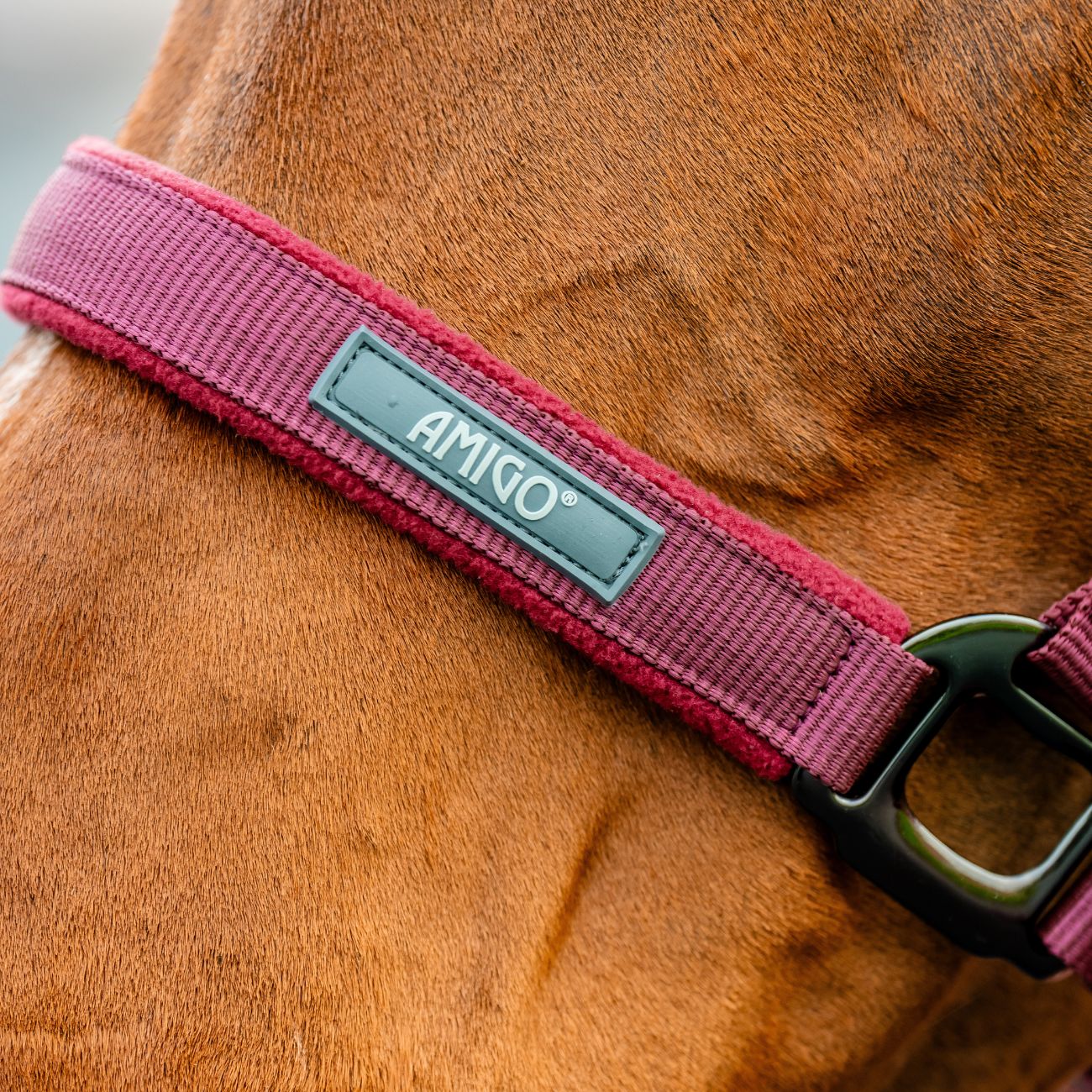 HORSEWARE Set Capezza E Lunghina Amigo Horseware Bordeaux DHRX01 RRR0MULBERRY 
