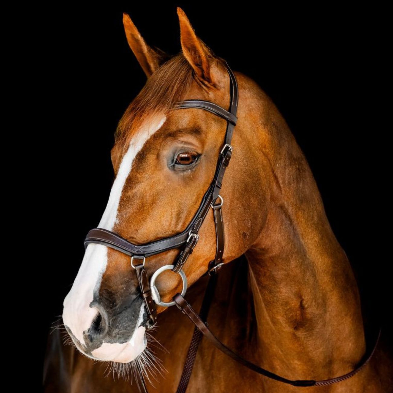 HORSEWARE TESTIERA MICKLEM COMPETITION HORSEWARE SBMBN1 BROWN 