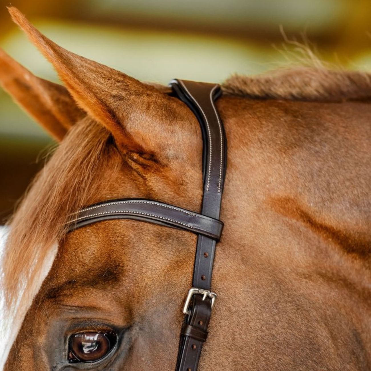 HORSEWARE TESTIERA MICKLEM COMPETITION HORSEWARE SBMBN1 BROWN 