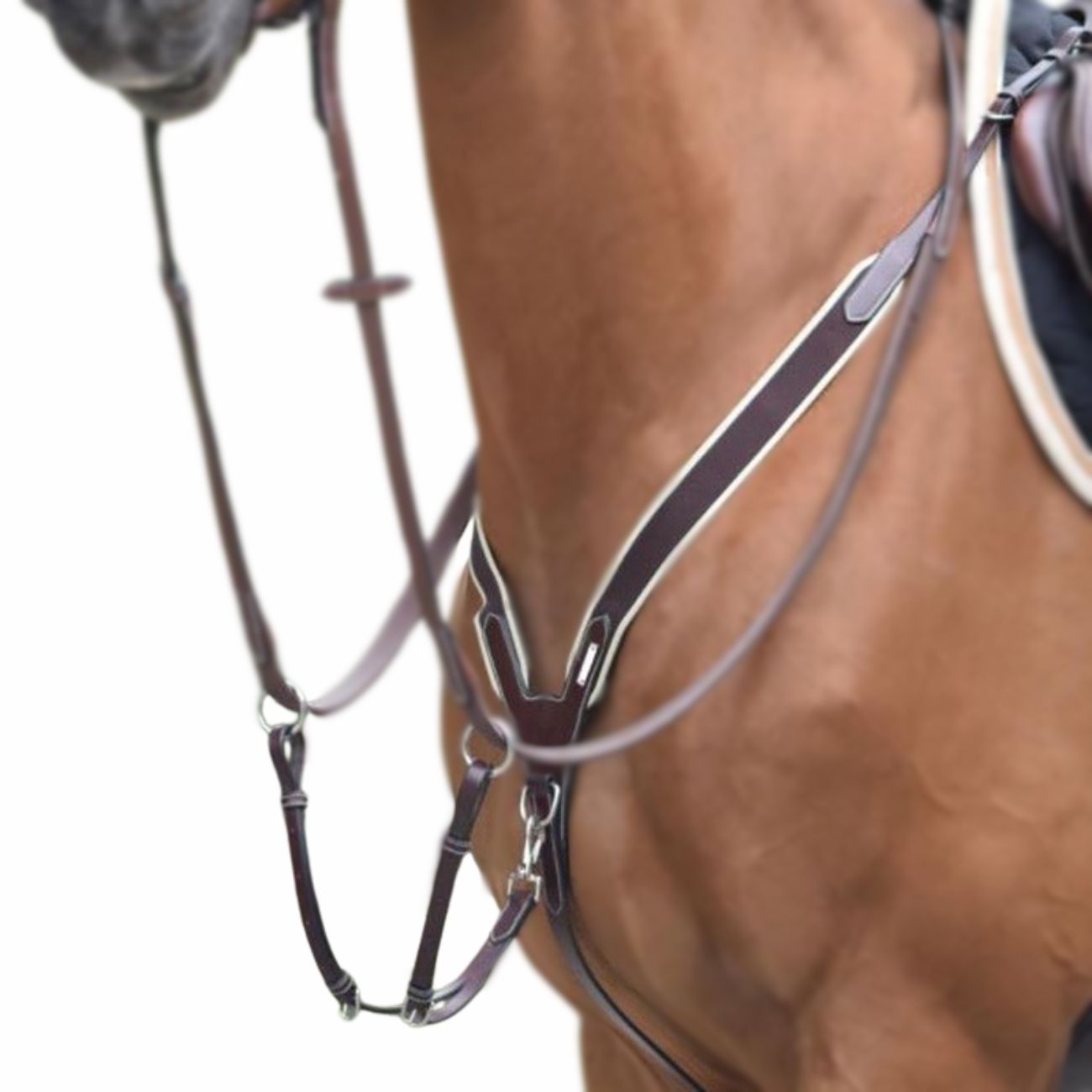 JUMP'IN JUMP'IN COLLIER DE CHASSE ELASTICO E MARTINGALA BICOLOR JUMP'IN Marrone martingale e forchette CCOELMARRONE 09JUCCOEL MARRONE 