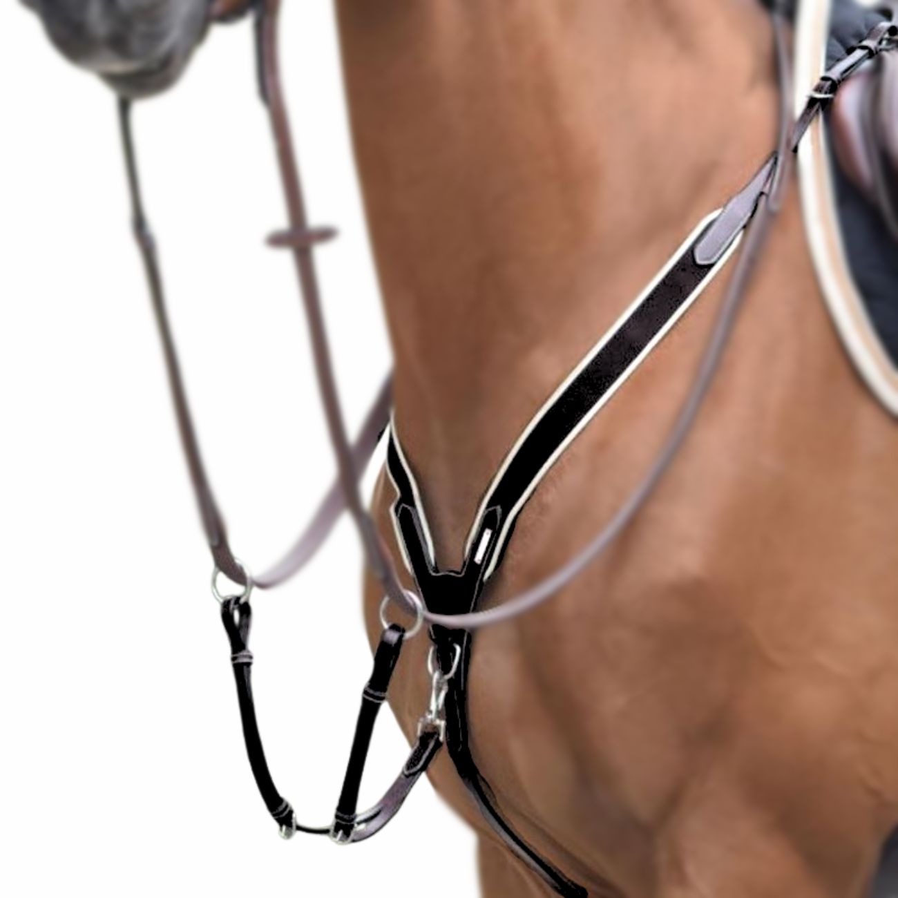 JUMP'IN JUMP'IN COLLIER DE CHASSE ELASTICO E MARTINGALA BICOLOR JUMP'IN Nero martingale e forchette CCOELNERO 09JUCCOEL NERO 