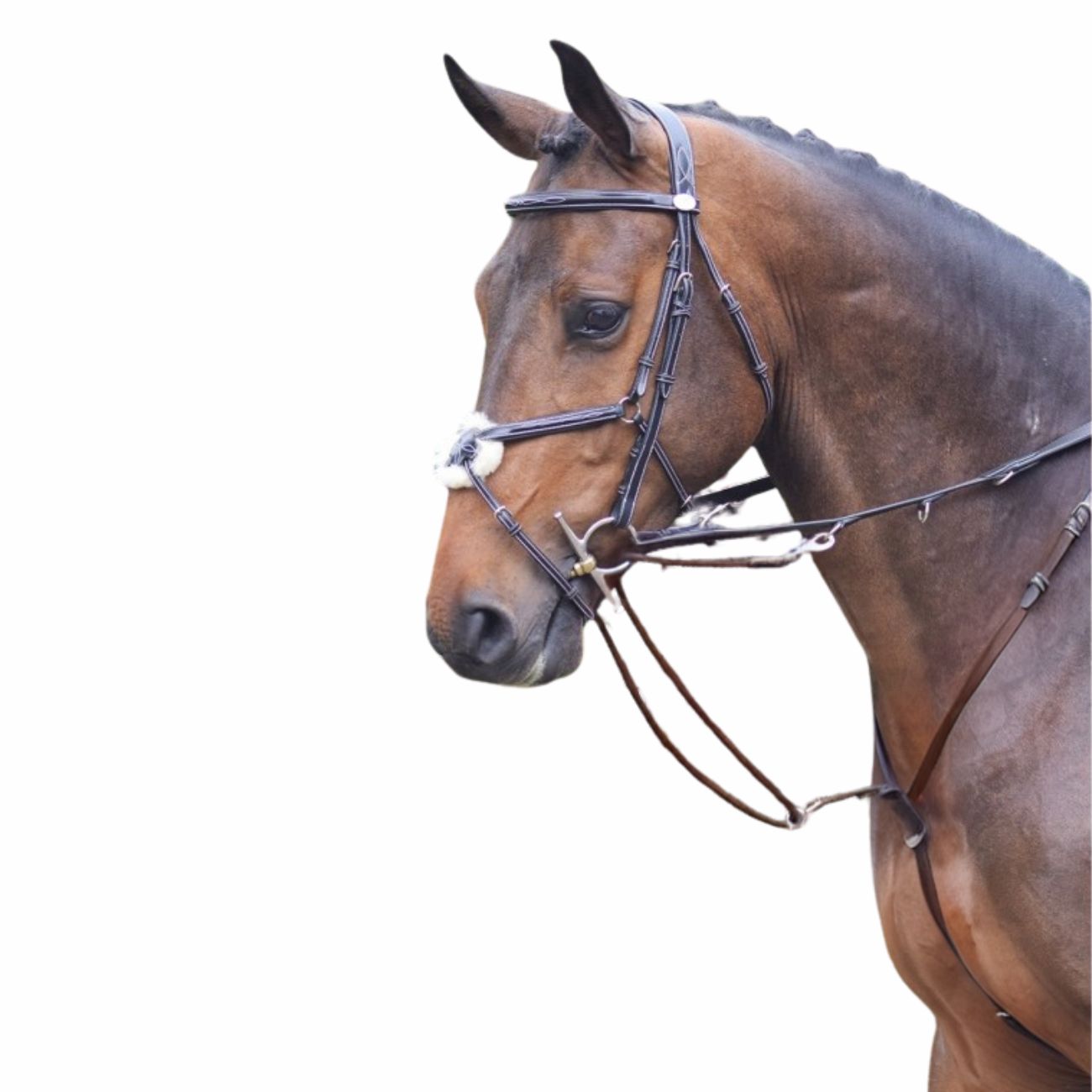 JUMP'IN JUMP'IN REDINI TIEDEMAN JUMP'IN HAVANA martingale e forchette ENH 09JUENH HAVANA 