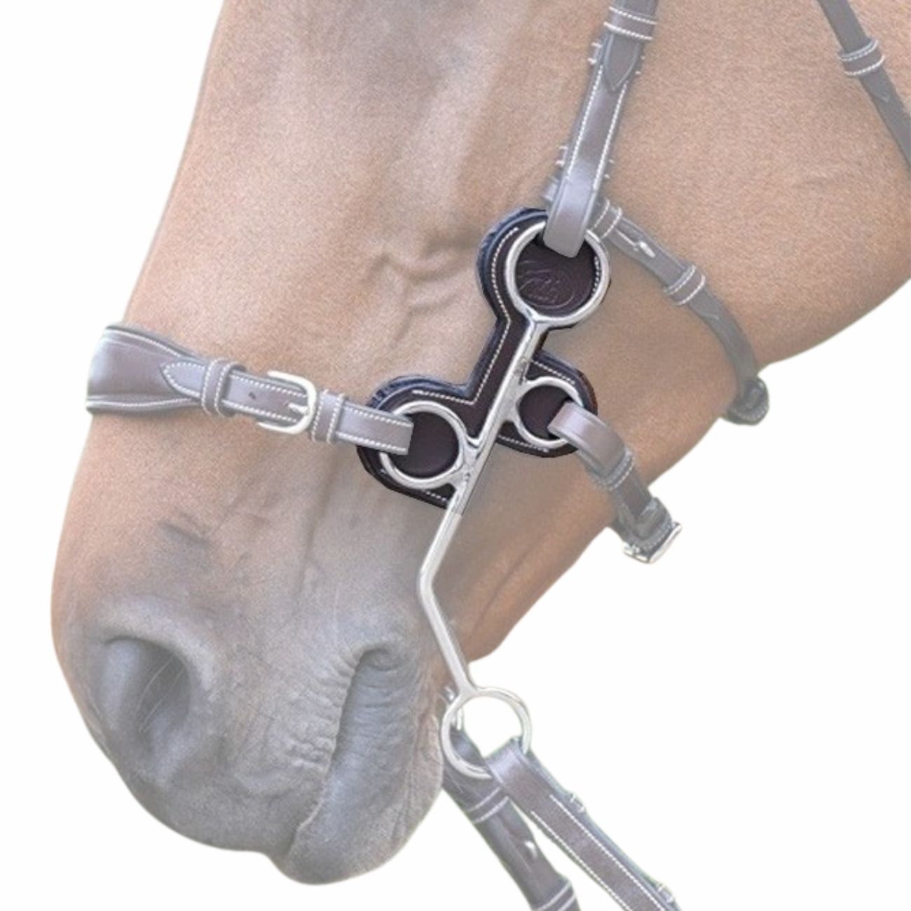 JUMP'IN JUMP'IN PROTEZIONE PER HACKAMORE IN CUOIO JUMP'IN Nero testiere PH009192NERO 09JUPH009192 NERO 
