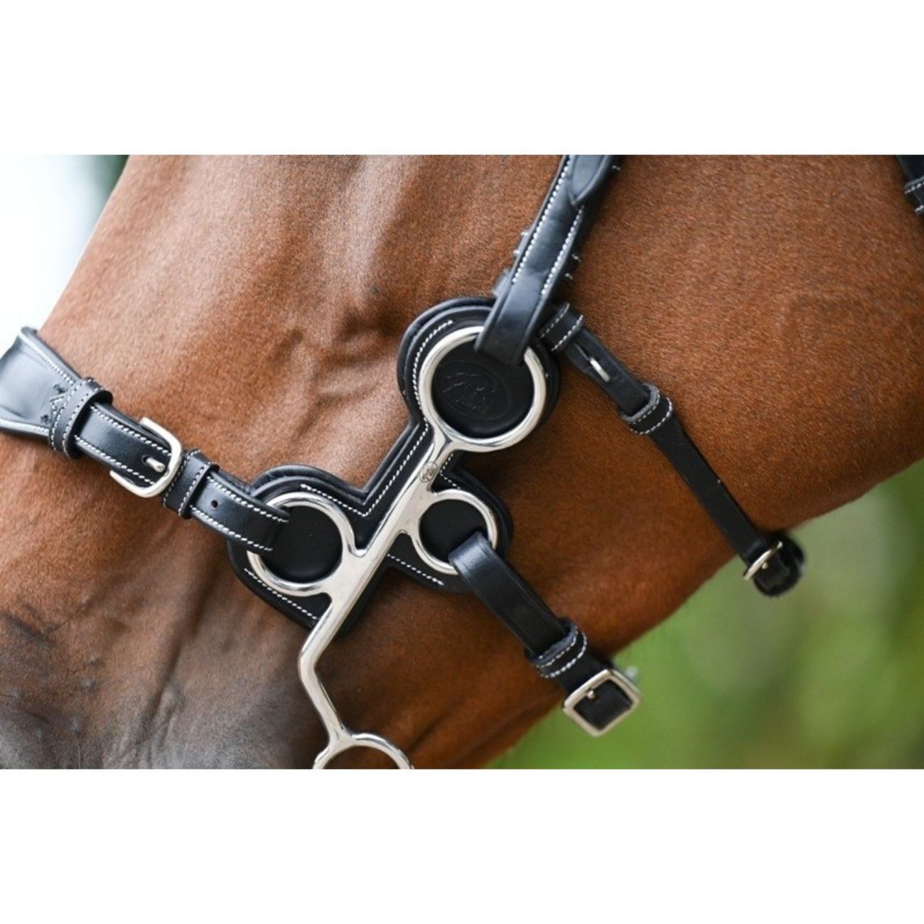 JUMP'IN JUMP'IN PROTEZIONE PER HACKAMORE IN CUOIO JUMP'IN Nero testiere PH009192NERO 09JUPH009192 NERO 