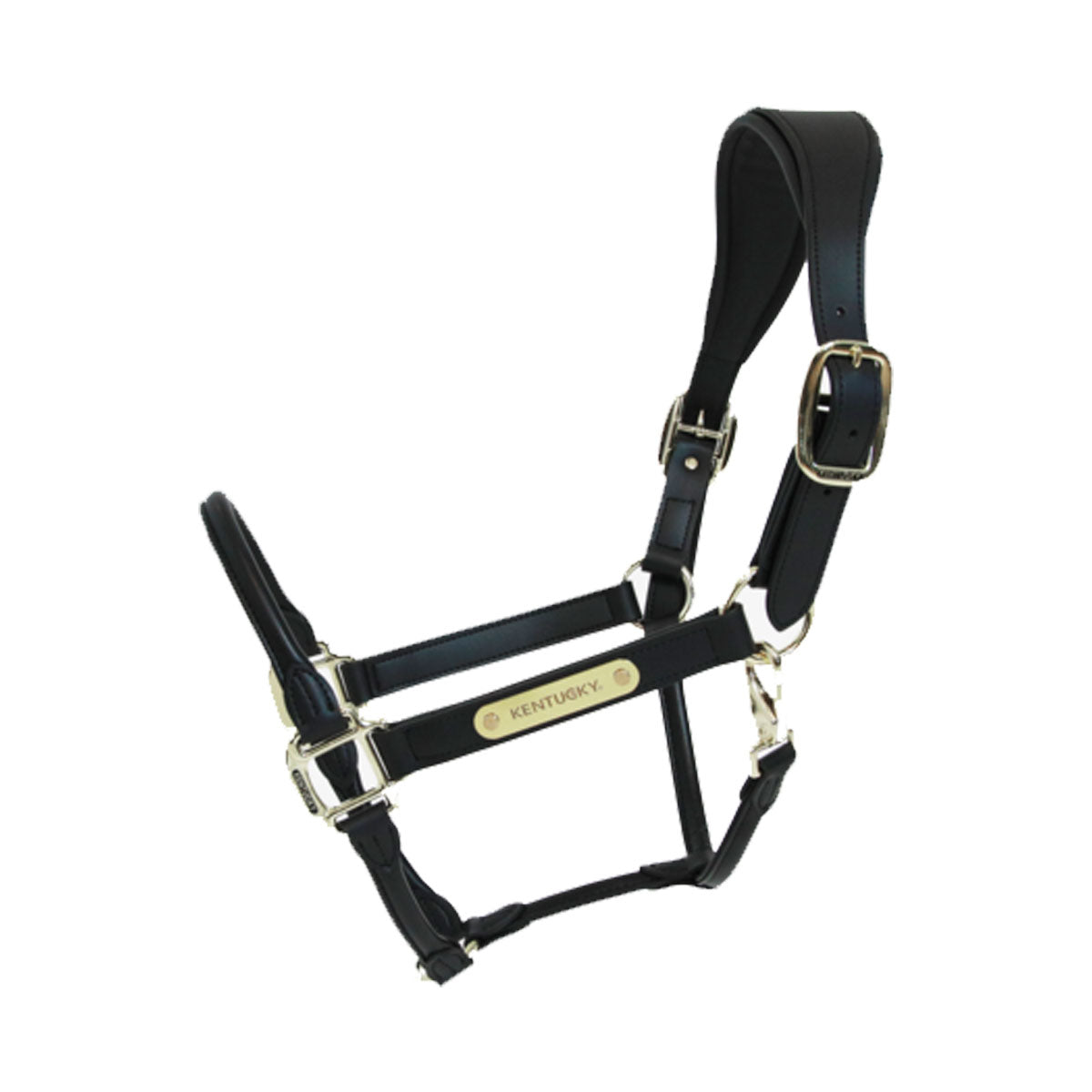 KENTUCKY KENTUCKY CAPEZZA IN CUOIO KENTUCKY Nero capezza per stalla e paddock 42513 01BLACK 