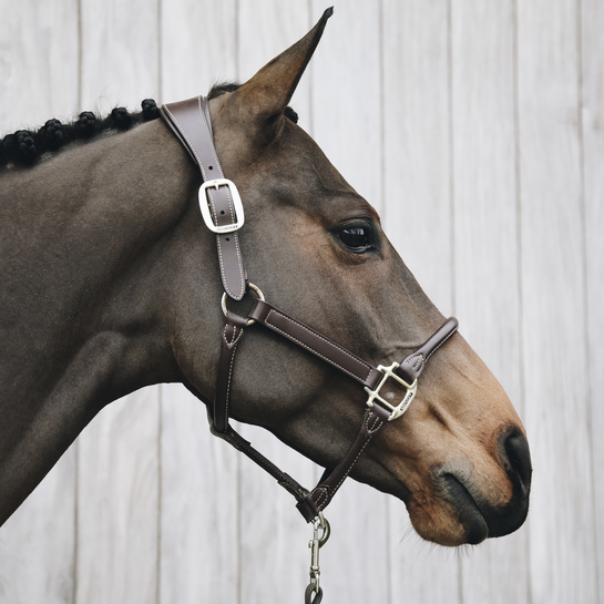 KENTUCKY KENTUCKY CAPEZZA IN CUOIO KENTUCKY Marrone capezza per stalla e paddock 42513 05BROWN 