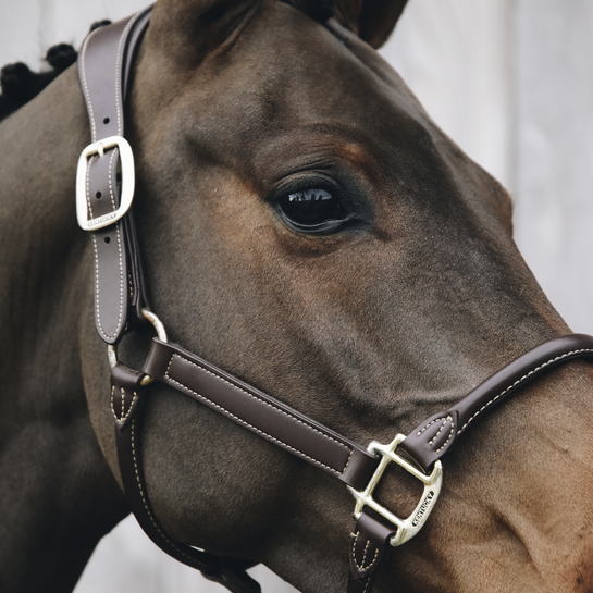 KENTUCKY KENTUCKY CAPEZZA IN CUOIO KENTUCKY Marrone capezza per stalla e paddock 42513 05BROWN 