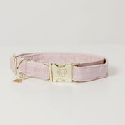 KENTUCKY KENTUCKY COLLARE PER CANE IN VELLUTO KENTUCKY Rosa accessorio per cani 09KT-42538 50ROSE 