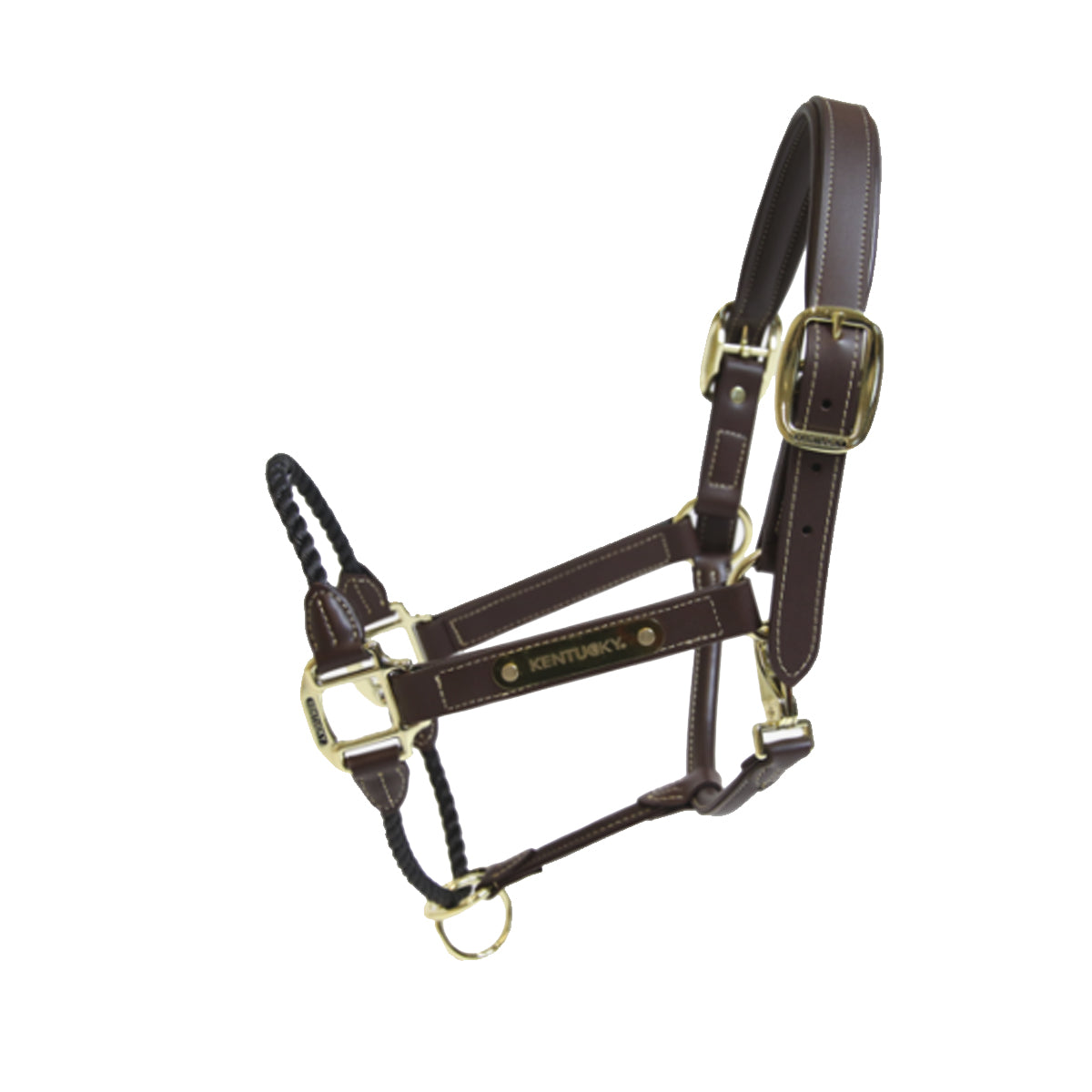 KENTUCKY KENTUCKY CAPEZZINA IN PELLE KENTUCKY Marrone capezza per stalla e paddock 42540 05BROWN 