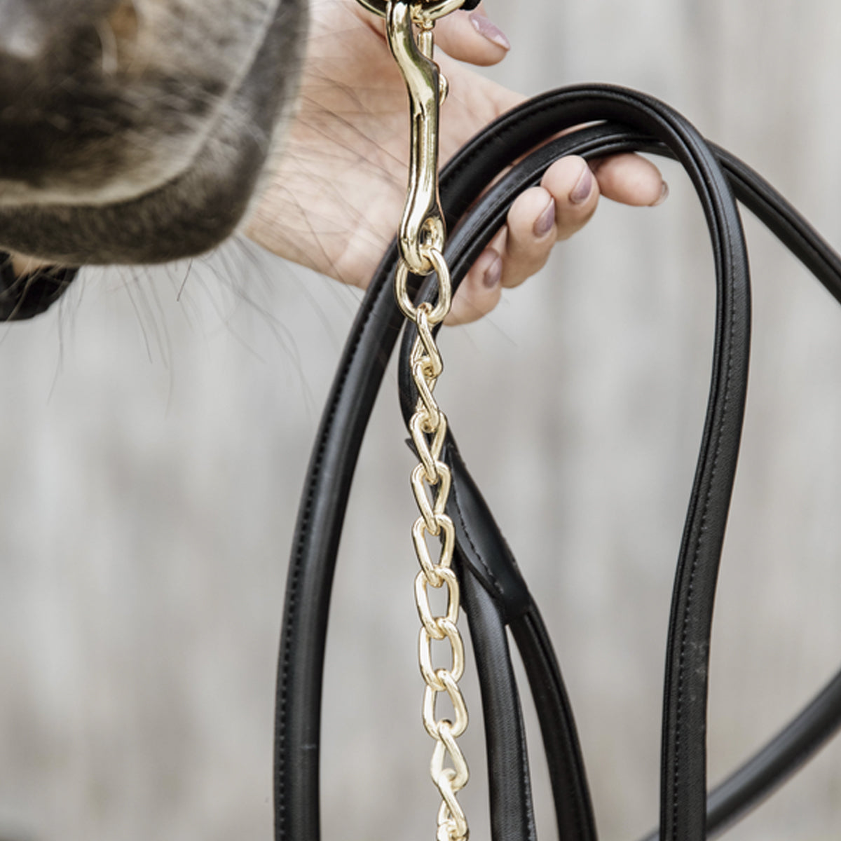 KENTUCKY KENTUCKY LONGHINA IN PELLE 270 CM C/CATENA KENTUCKY Marrone lunghine 42561 05BROWN 