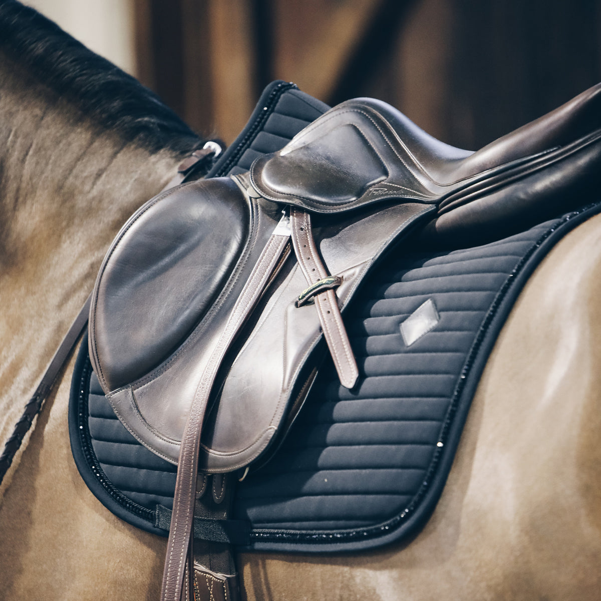 KENTUCKY KENTUCKY SOTTOSELLA PEARLS JUMPING KENTUCKY Nero sottosella tecnico 42571-SJ 01BLACK 