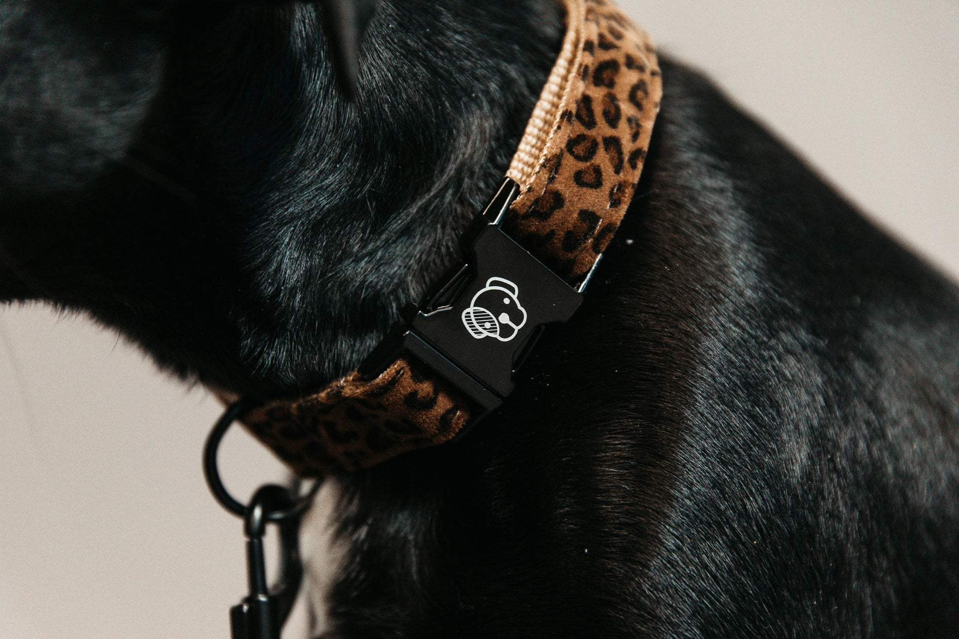 KENTUCKY KENTUCKY COLLARE PER CANE KENTUCKY Multicolor accessorio per cani 09KT-42630 55LEOPARD 