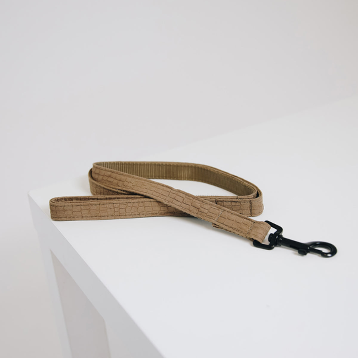 KENTUCKY KENTUCKY GUINZAGLIO PER CANE KENTUCKY Marrone accessorio per cani 09KT-42631 05BROWN 