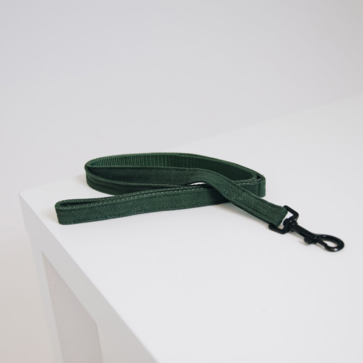 KENTUCKY KENTUCKY GUINZAGLIO PER CANE KENTUCKY Verde accessorio per cani 09KT-42631 74GREEN 