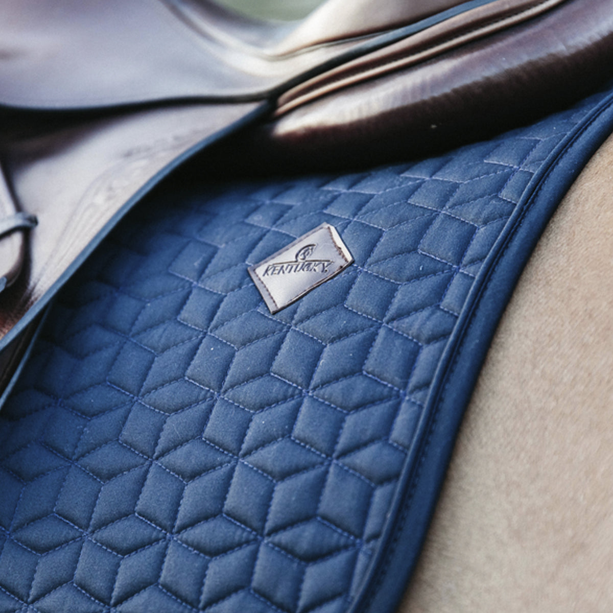 KENTUCKY KENTUCKY SOTTOSELLA JUMPING CLASSIC KENTUCKY Blu sottosella tecnico 42803-SJ 03NAVY 