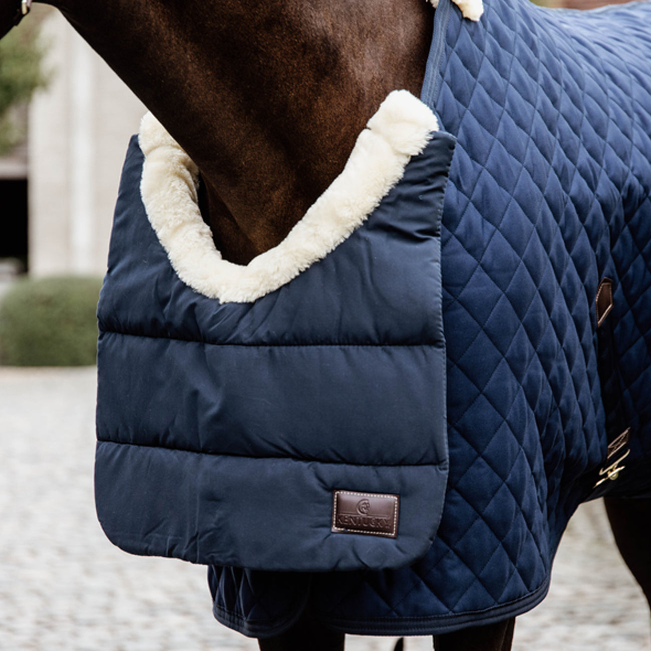 KENTUCKY KENTUCKY PETTORALE CAVALLO INVERNO Blu pettorali 09KT-52114 NAVY 