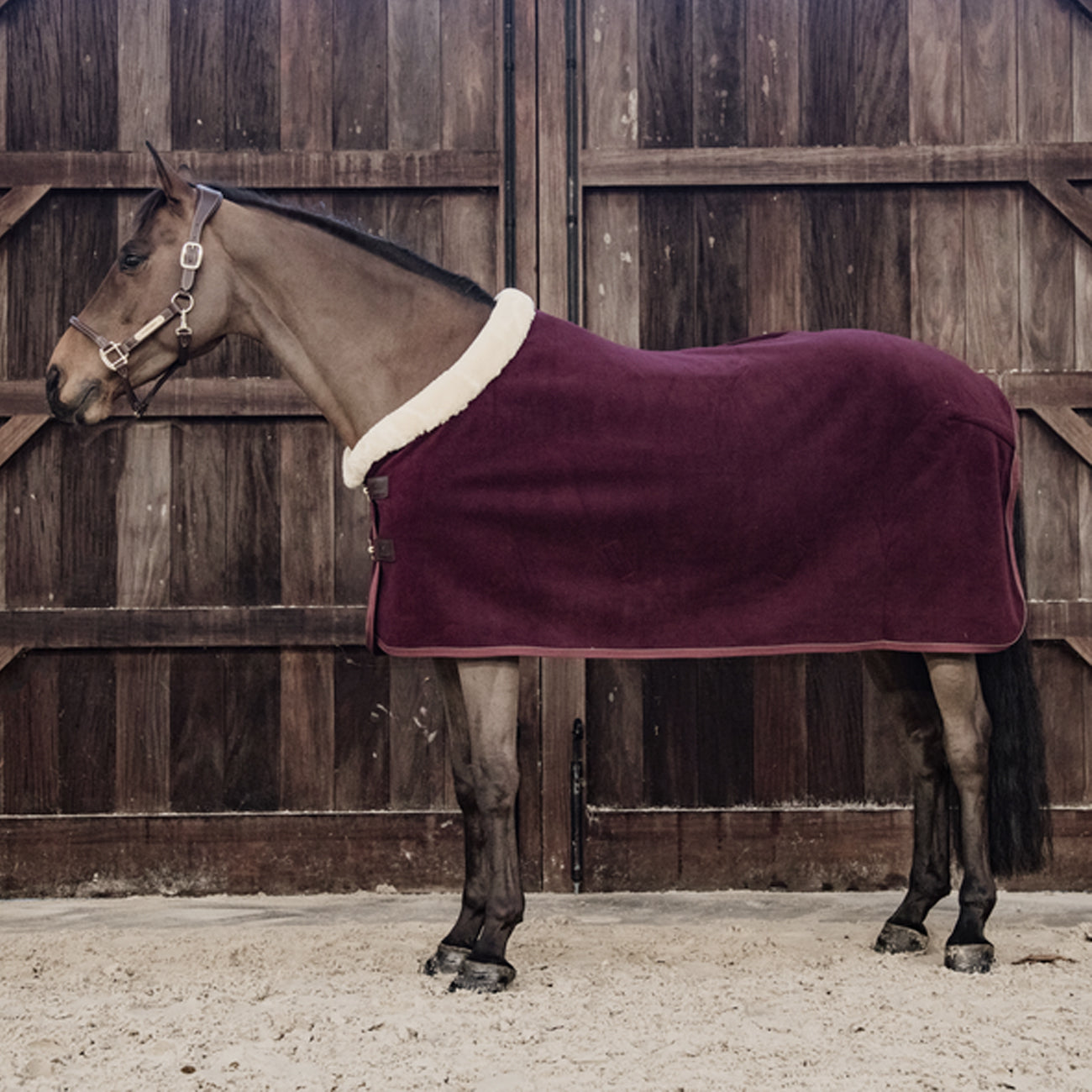 KENTUCKY KENTUCKY COPERTA IN PILE PESANTE Bordeaux coperta per cavallo 52148 BORDEAUX 