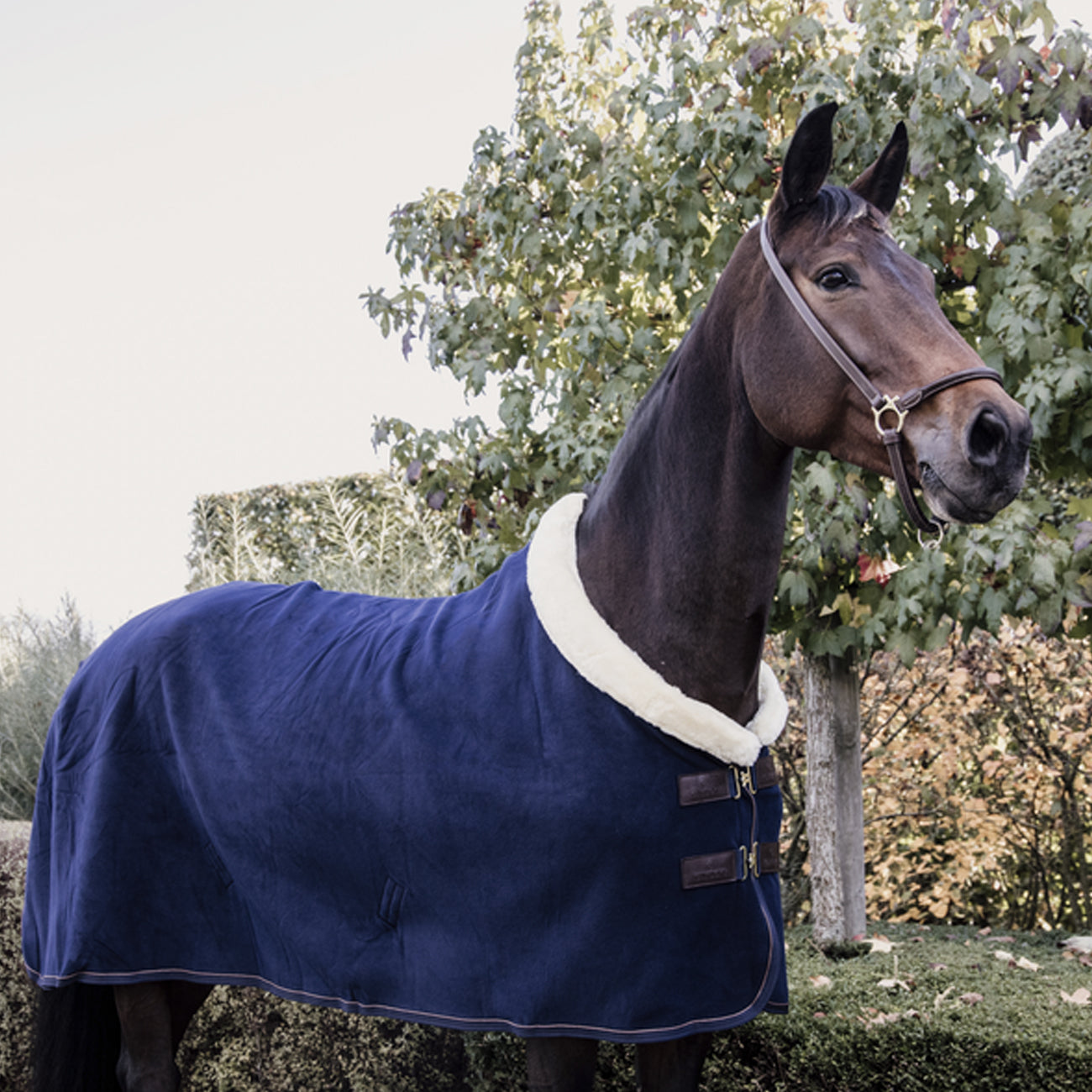 KENTUCKY KENTUCKY COPERTA IN PILE PESANTE Blu coperta per cavallo 52148 03NAVY 