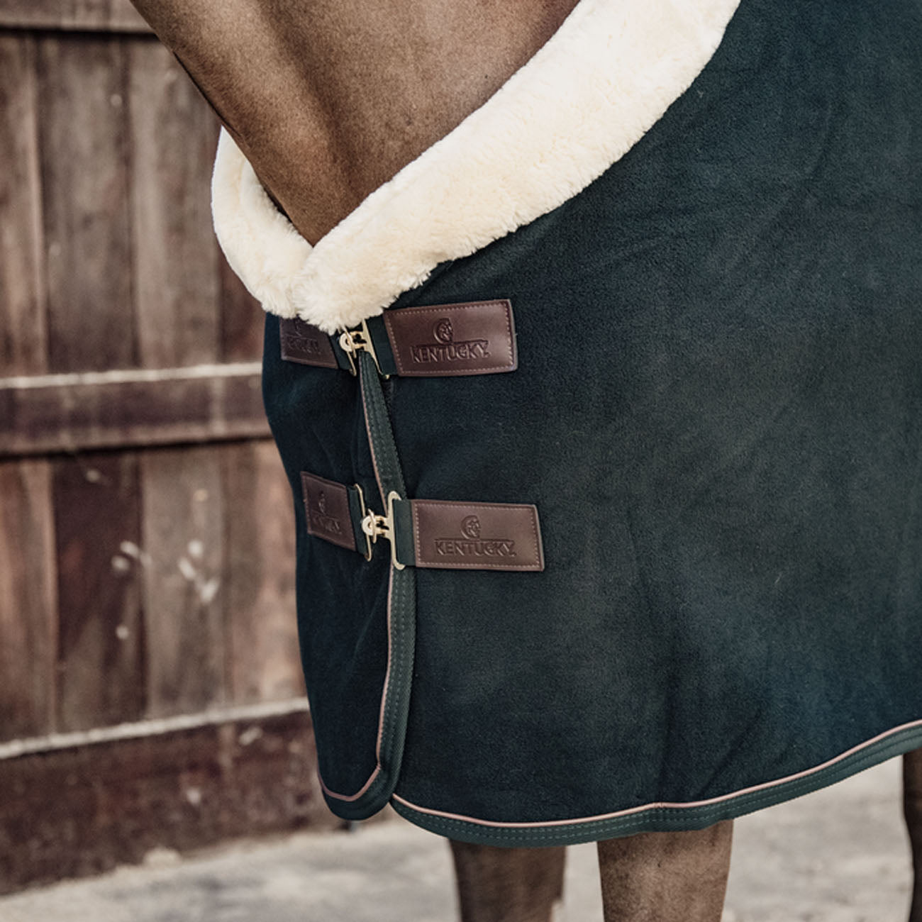 KENTUCKY KENTUCKY COPERTA IN PILE PESANTE Verde coperta per cavallo 52148 73PINE GREEN 