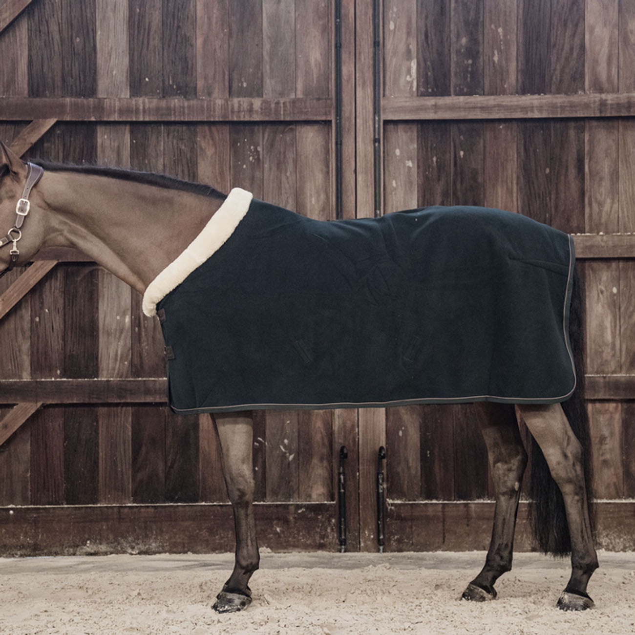 KENTUCKY KENTUCKY COPERTA IN PILE PESANTE Verde coperta per cavallo 52148 73PINE GREEN 