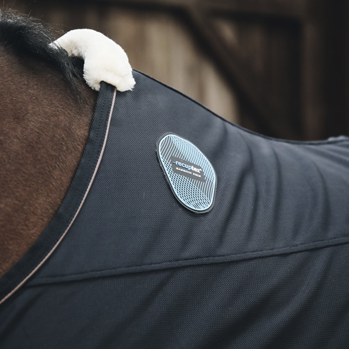 KENTUCKY KENTUCKY COPERTA MAGNETIC RECUPTEX IN RETE KENTUCKY Blu coperta per cavallo 52150 03NAVY 