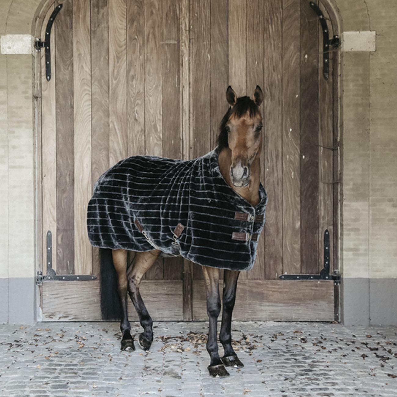 KENTUCKY KENTUCKY COPERTA DA BOX MOD.FAKE RUG 400GR. Grigio coperta per cavallo 09KT-52151 GREY 