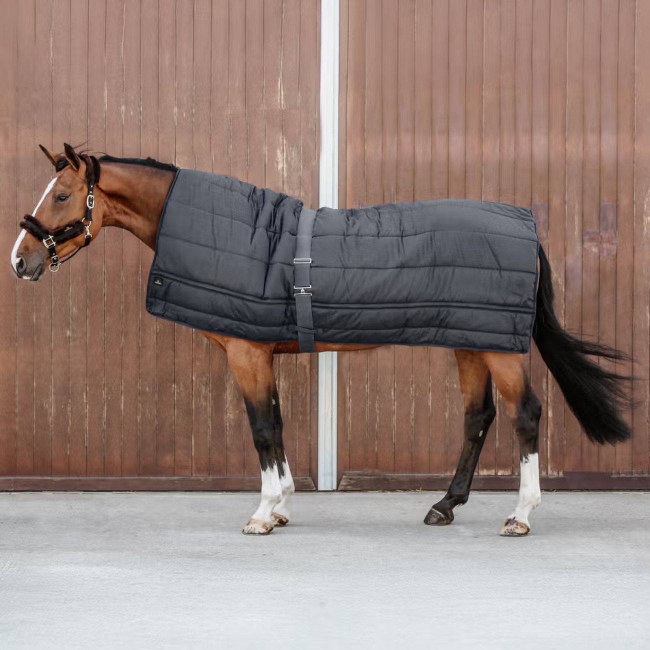 KENTUCKY Sottocoperta Horse Duvet 300gr Kentucky Nero 09KT42144 BLACK 
