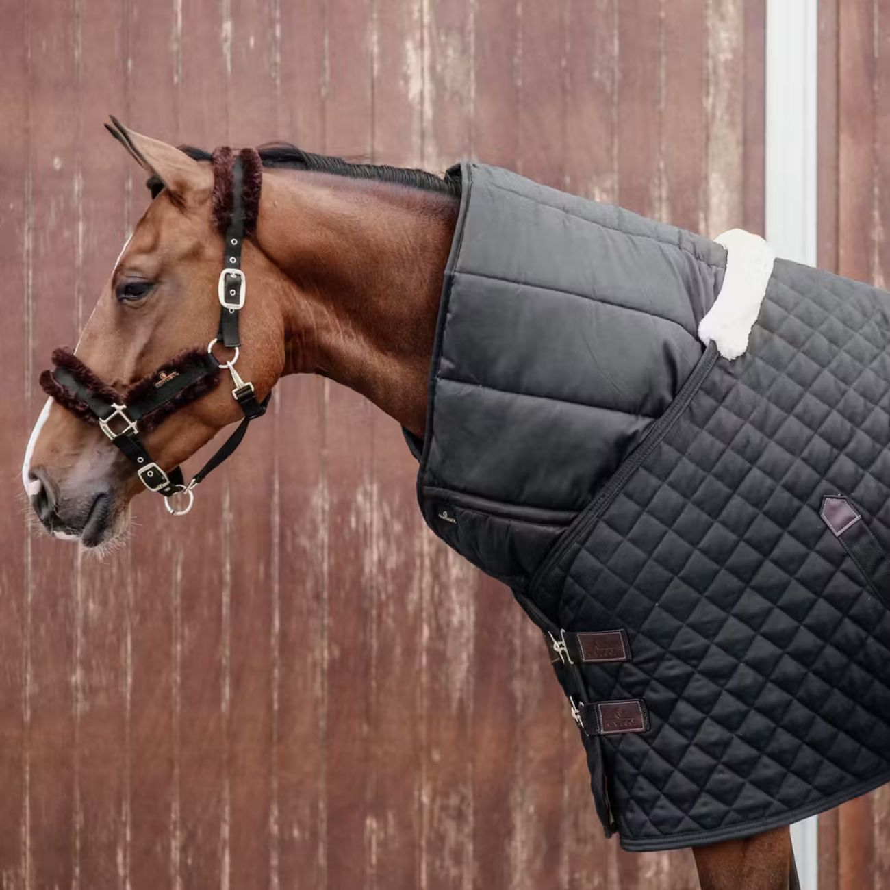 KENTUCKY Sottocoperta Horse Duvet 300gr Kentucky Nero 09KT42144 BLACK 