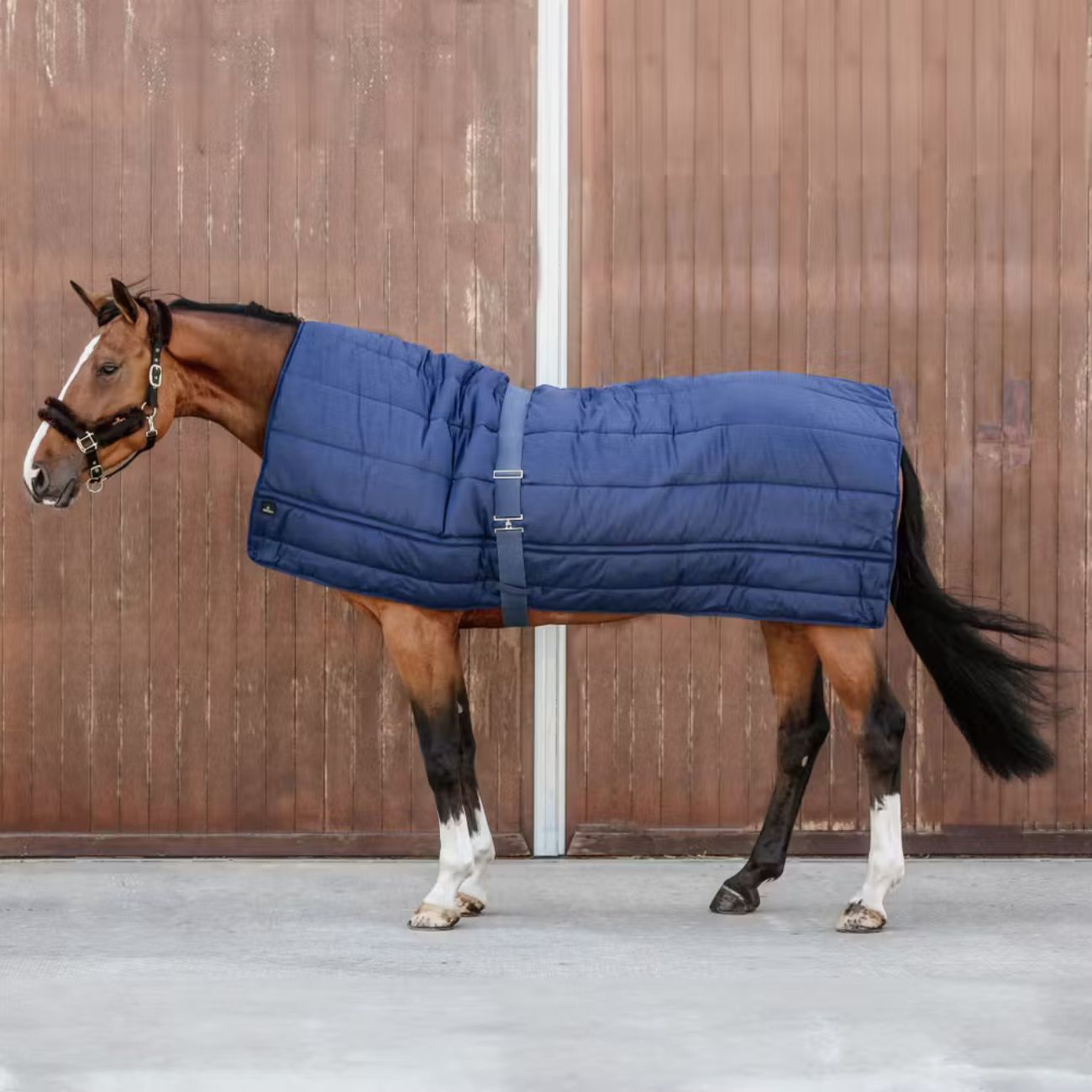 KENTUCKY Sottocoperta Horse Duvet 300gr Kentucky Blu 09KT42144 NAVY 