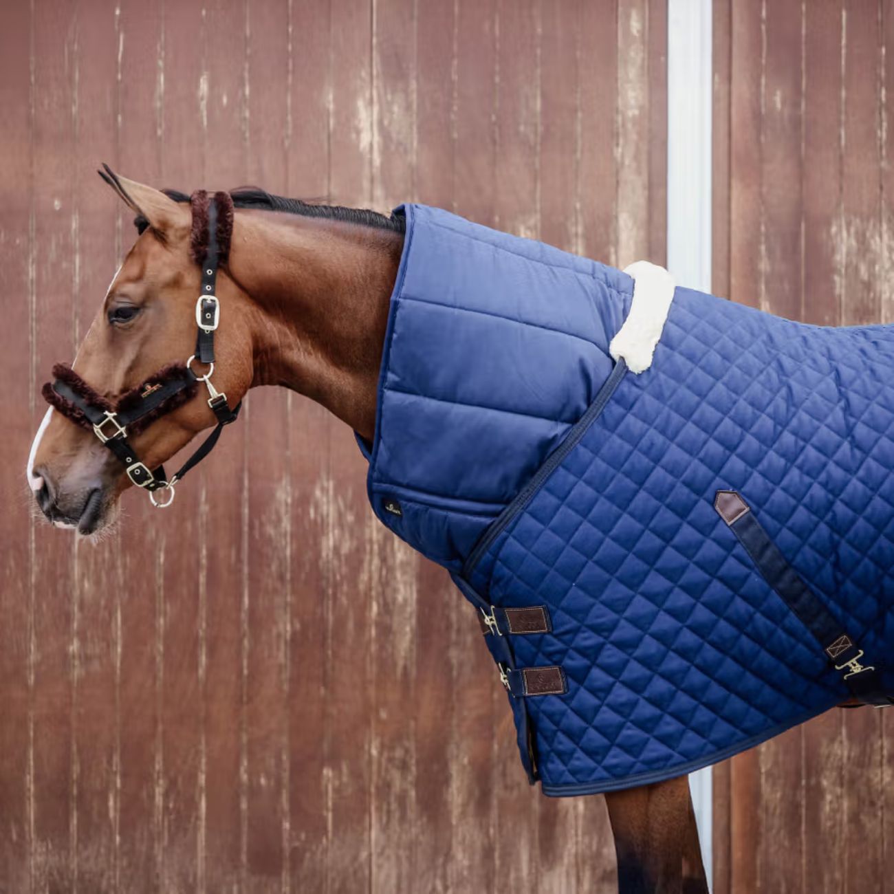 KENTUCKY Sottocoperta Horse Duvet 300gr Kentucky Blu 09KT42144 NAVY 