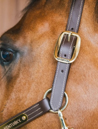KENTUCKY KENTUCKY CAPEZZA DI PELLE WELLINGTON KENTUCKY Marrone capezza per stalla e paddock 42507 05BROWN 