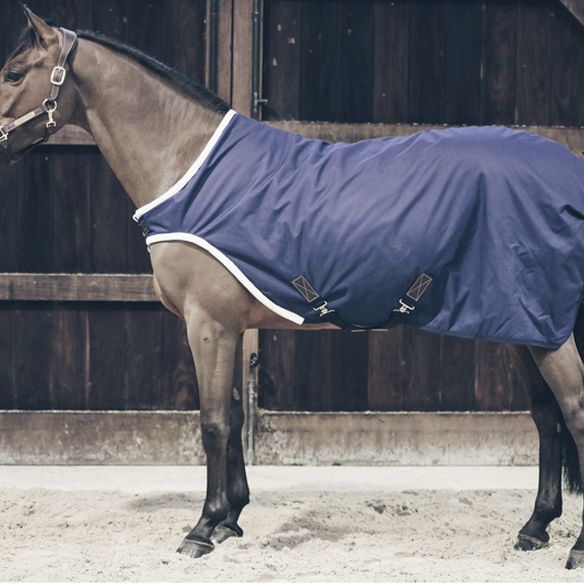 KENTUCKY Coprireni Walker Rug Impermeabile160gr Kentucky 09KT52106 NAVY 