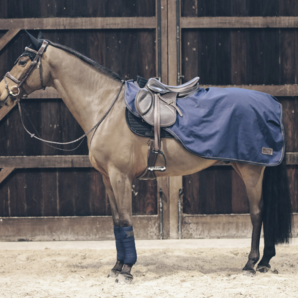 KENTUCKY Coprireni Impermeabile Riding Rug 160gr  Kentucky 09KT52117 NAVY 