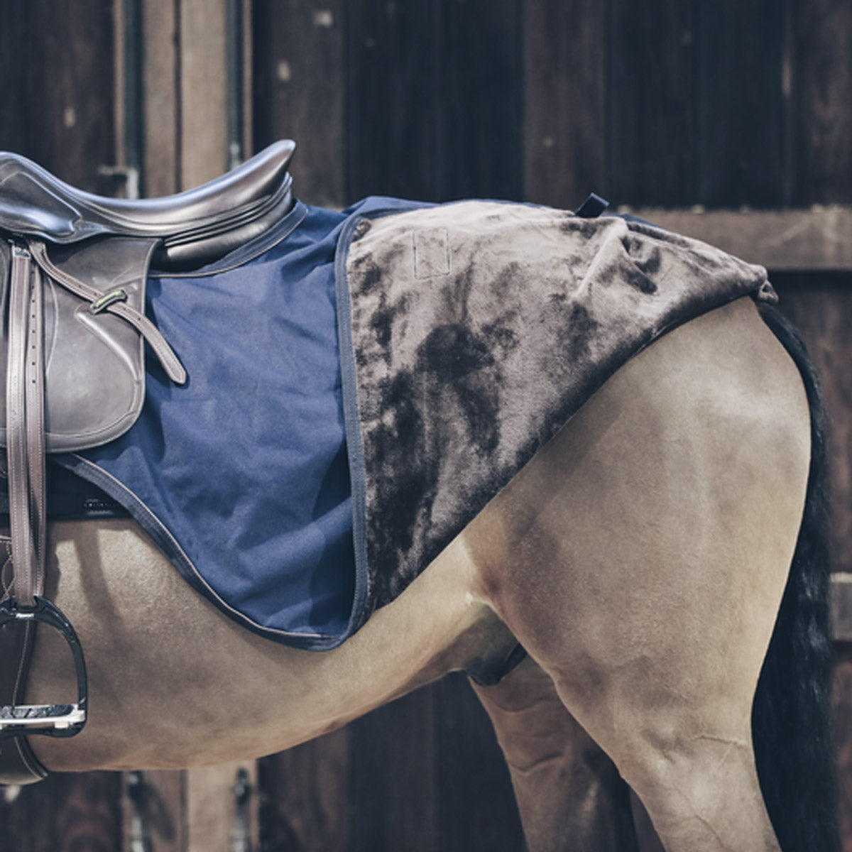 KENTUCKY Coprireni Impermeabile Riding Rug 160gr  Kentucky 09KT52117 NAVY 