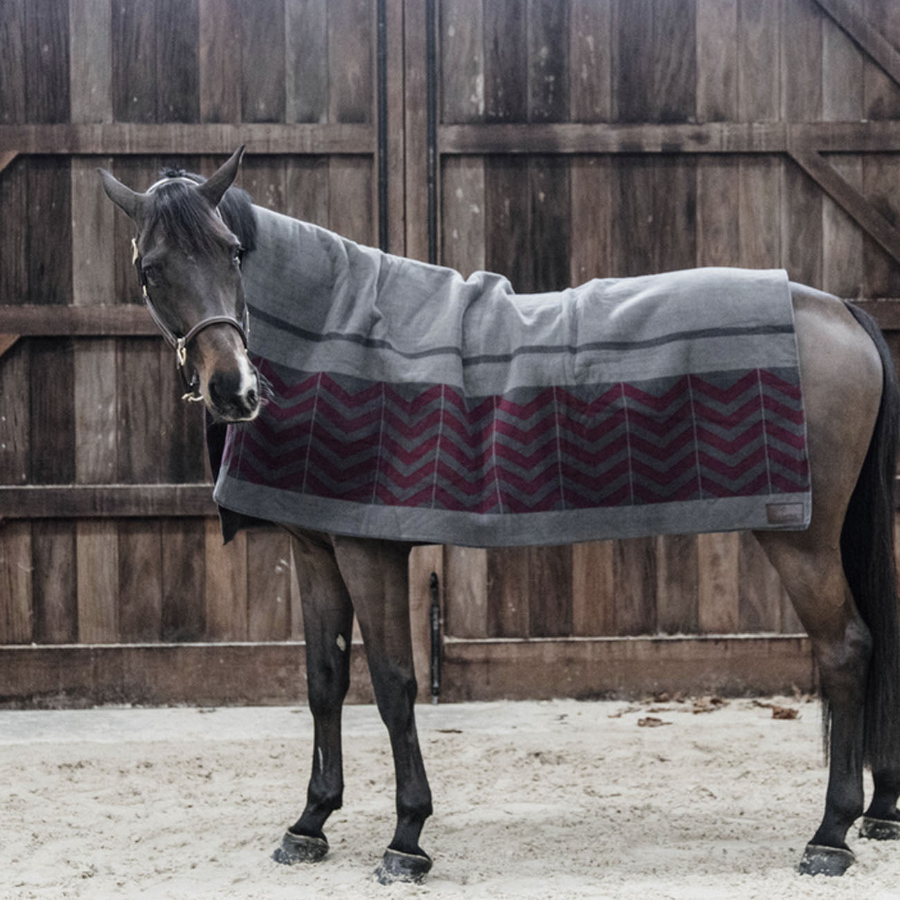 KENTUCKY KENTUCKY COPERTA IN PILE 210X200CM HEAVY FLEECE SQUARE FISHBONE Grigio coperta per cavallo 52170 17GREY/BORDEAUX 