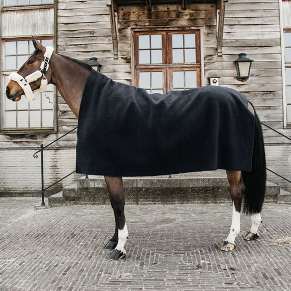 KENTUCKY Coperta In Pile Pesante Heavy Fleece Rug 210X200cm Kentucky Nero 52174 01BLACK 