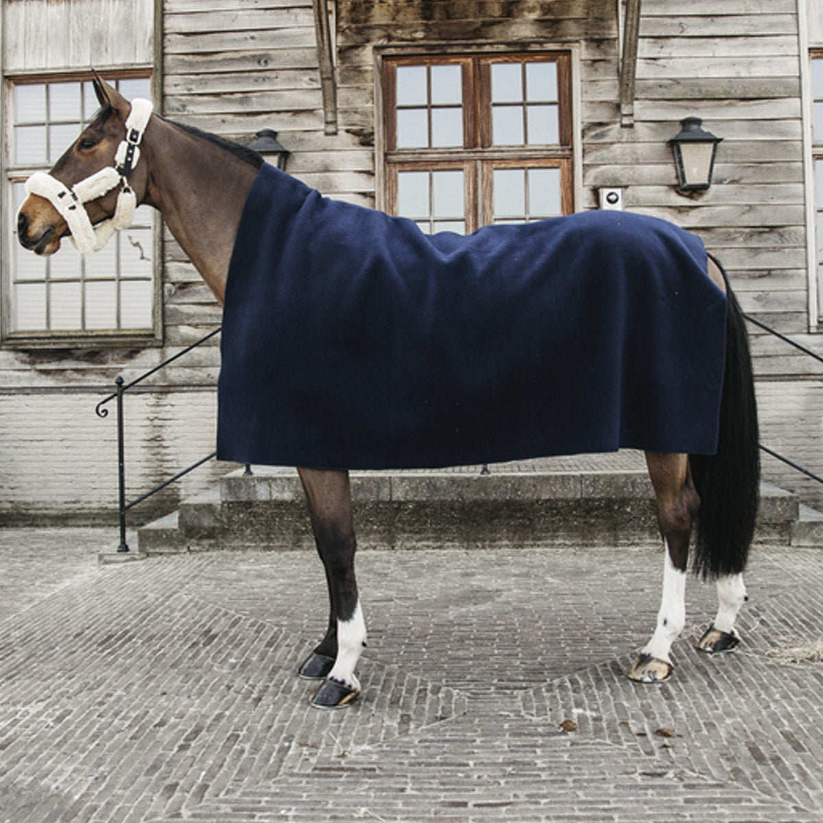 KENTUCKY Coperta In Pile Pesante Heavy Fleece Rug 210X200cm Kentucky Blu 52174 03NAVY 