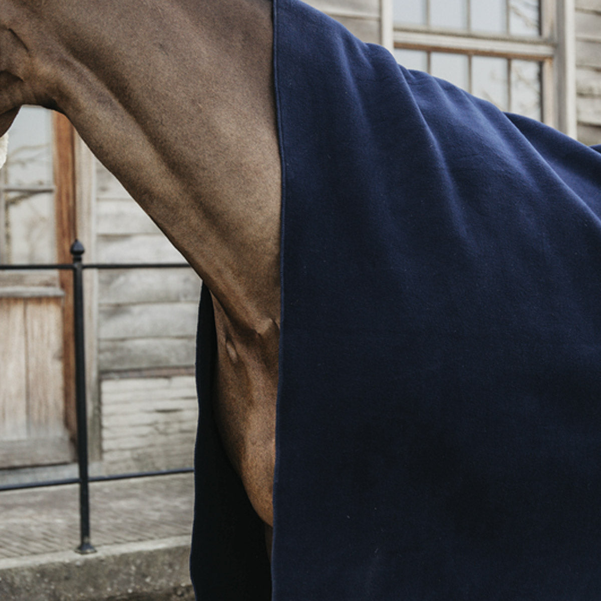 KENTUCKY Coperta In Pile Pesante Heavy Fleece Rug 210X200cm Kentucky Blu 52174 03NAVY 