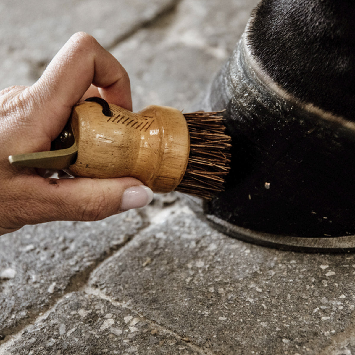 GROOMING DELUXE GROOMING DELUXE Spazzola In Legno Per Zoccoli Con Nettapiedi Legno nan Cura Zoccoli 82143 05LEGNO 