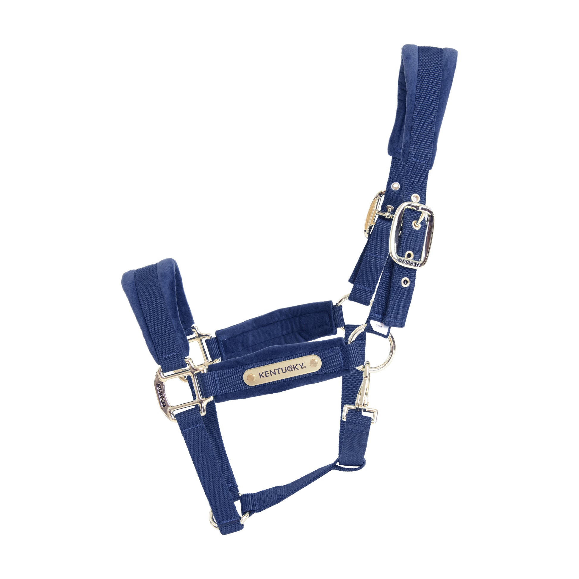 KENTUCKY KENTUCKY CAPEZZA IN VELLUTO KENTUCKY Blu capezza per stalla e paddock 42558 03NAVY 