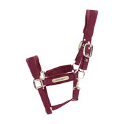 KENTUCKY KENTUCKY CAPEZZA IN VELLUTO KENTUCKY Rosso capezza per stalla e paddock 42558 17BORDEAUX 