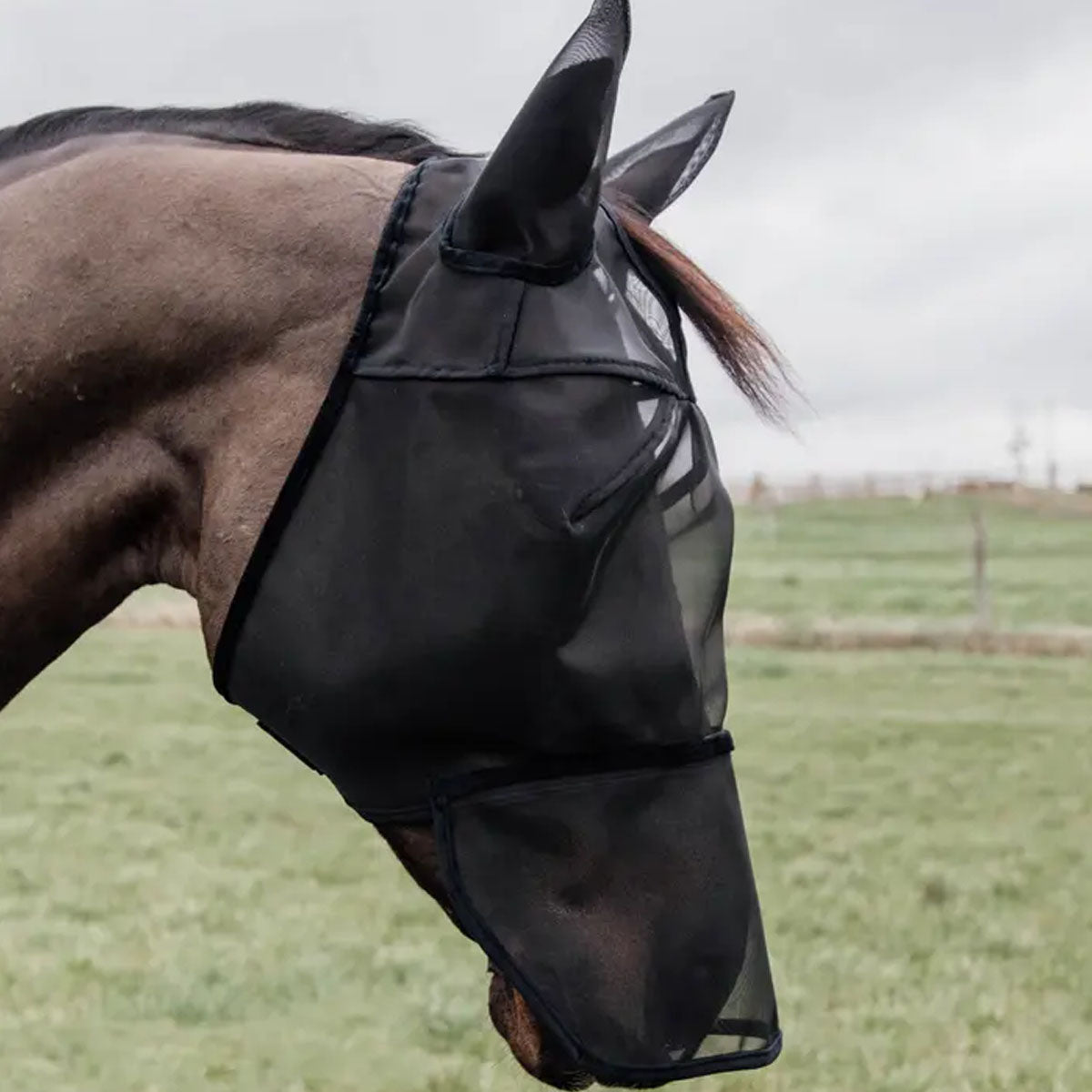 KENTUCKY KENTUCKY MASCHERA ANTIMOSCHE CON ORECCHIE E NASO Nero cuffie antirumore - antimosche 42644 01BLACK 