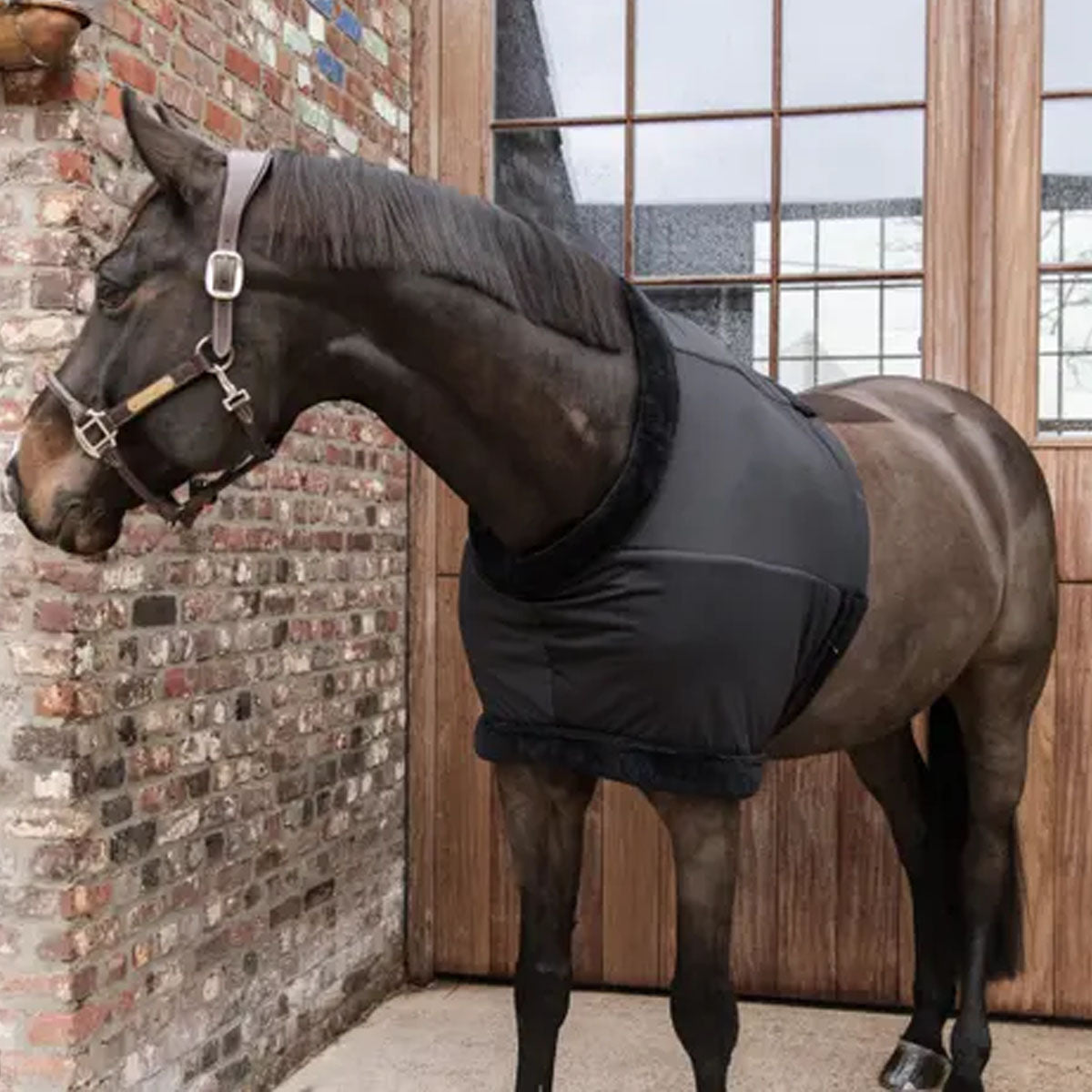KENTUCKY KENTUCKY PROTEZIONE DEL TORACE Nero accessori per il cavaliere 30KT-52182 010BLACK 