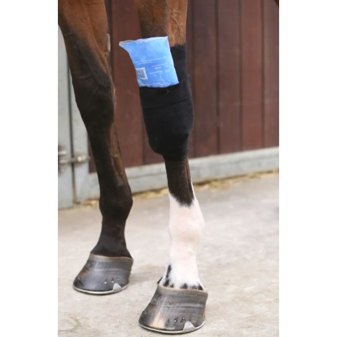 KENTUCKY Fascia Elastica Tendon Grip Sock Kentucky Nero 42101 01BLACK 