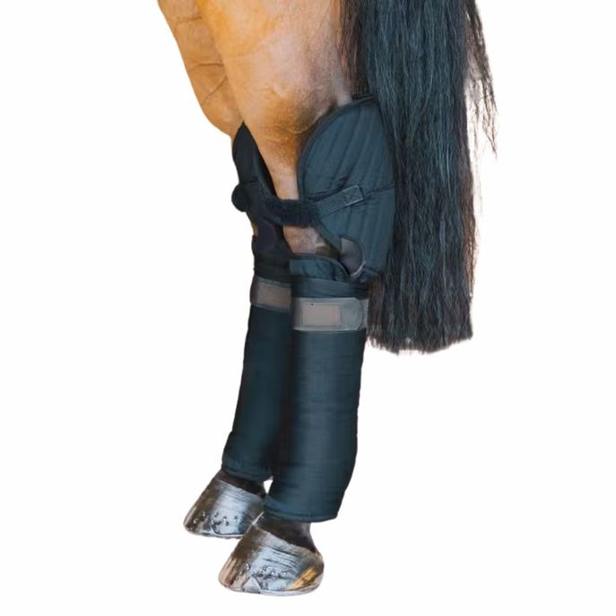 KENTUCKY Paracolpi Transport Stable Bandage Pad with Hock Protection Kentucky 42118 01BLACK 